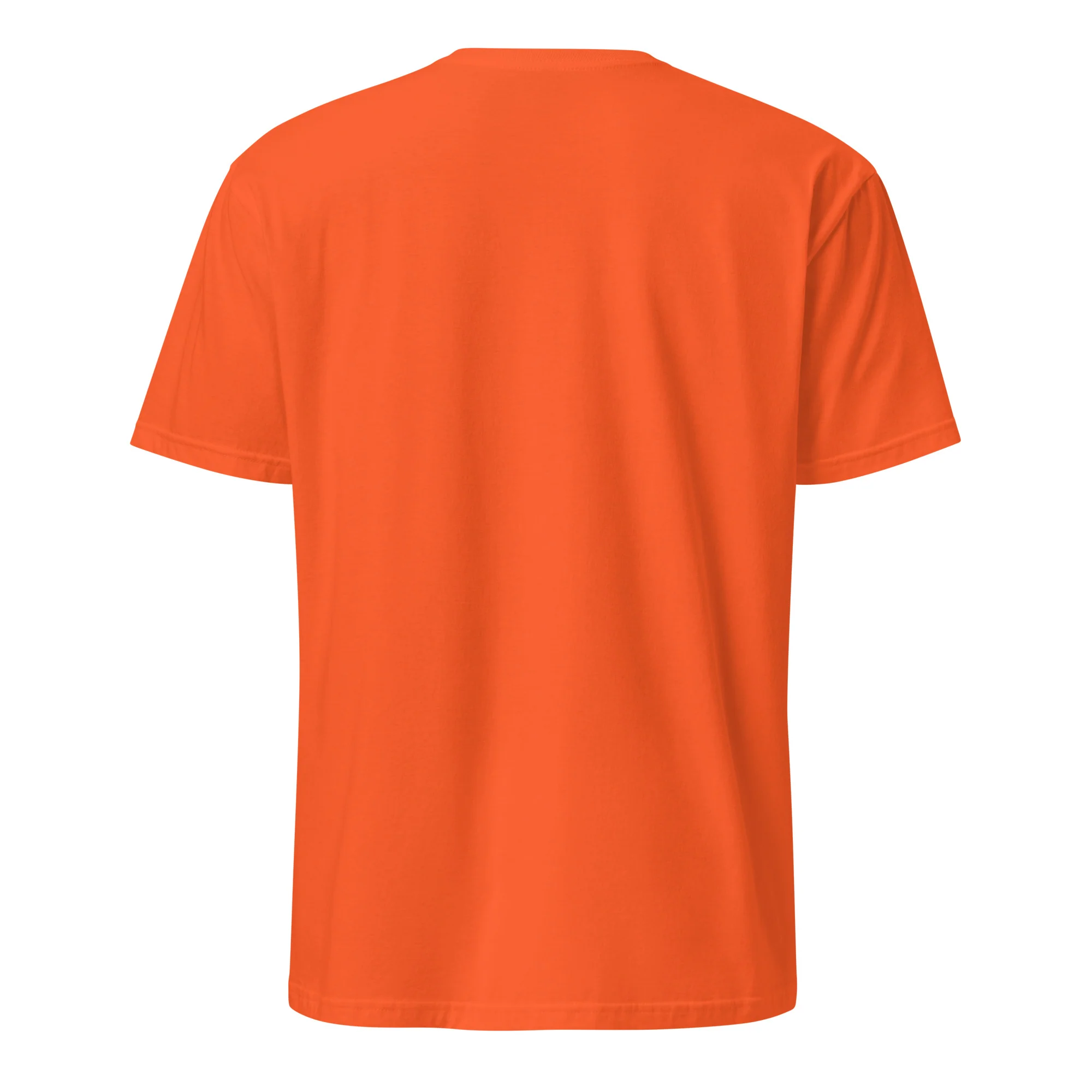 Classic Soft-Style Short Sleeve by Project M - Image 19